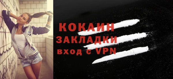 крисы Гусев
