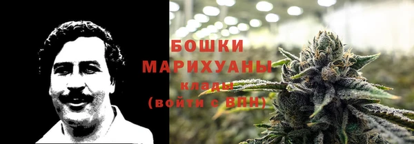 крисы Гусев