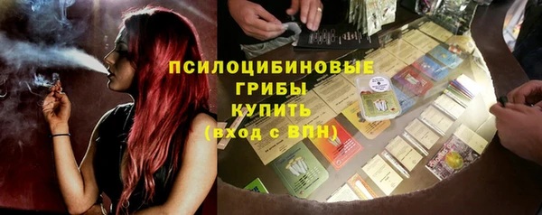мяу мяу кристалл Гусь-Хрустальный