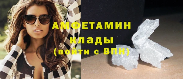 мяу мяу кристалл Гусь-Хрустальный