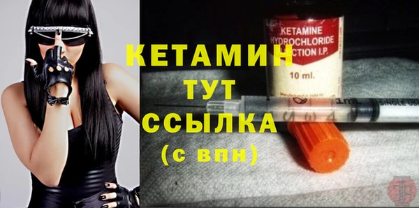 крисы Гусев