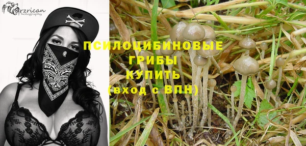 крисы Гусев