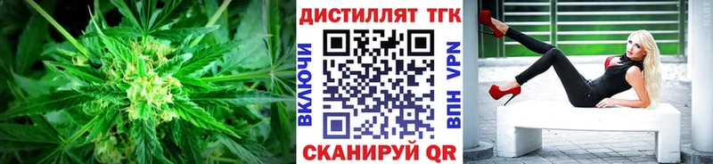 Дистиллят ТГК Wax  Купить закладки  Малмыж 
